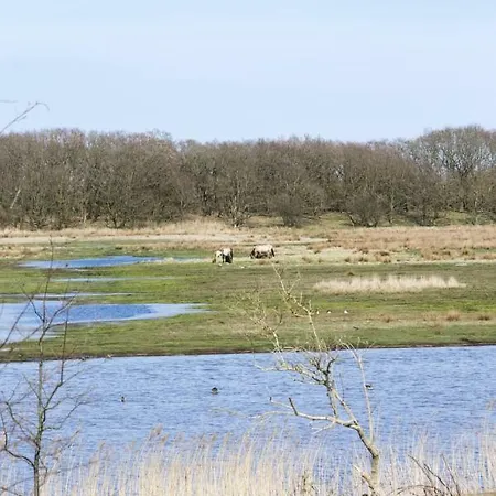 Luxus-ostseeferienhaus Torfstich Дом отдыха Nieby (Nieby, Schleswig-Flensburg)
